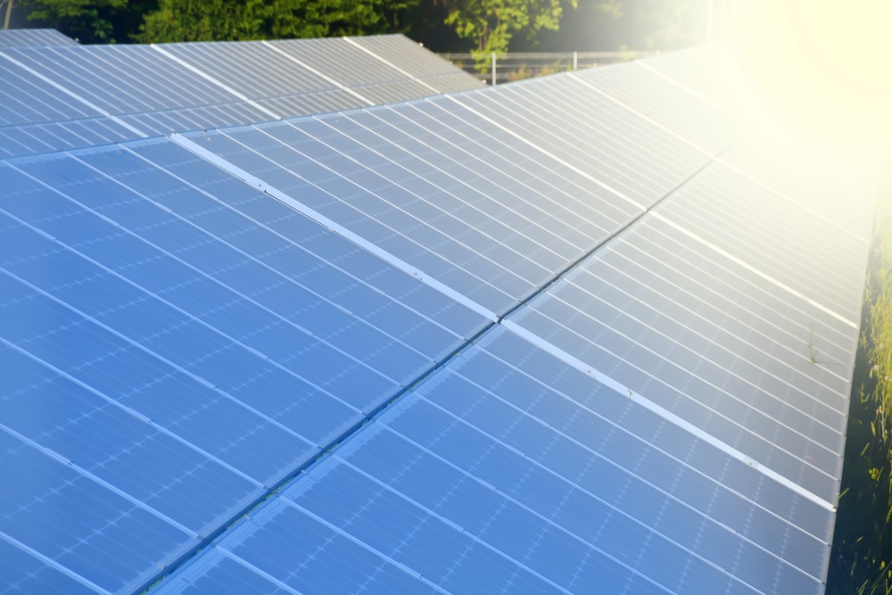 Reducing Your Carbon Footprint